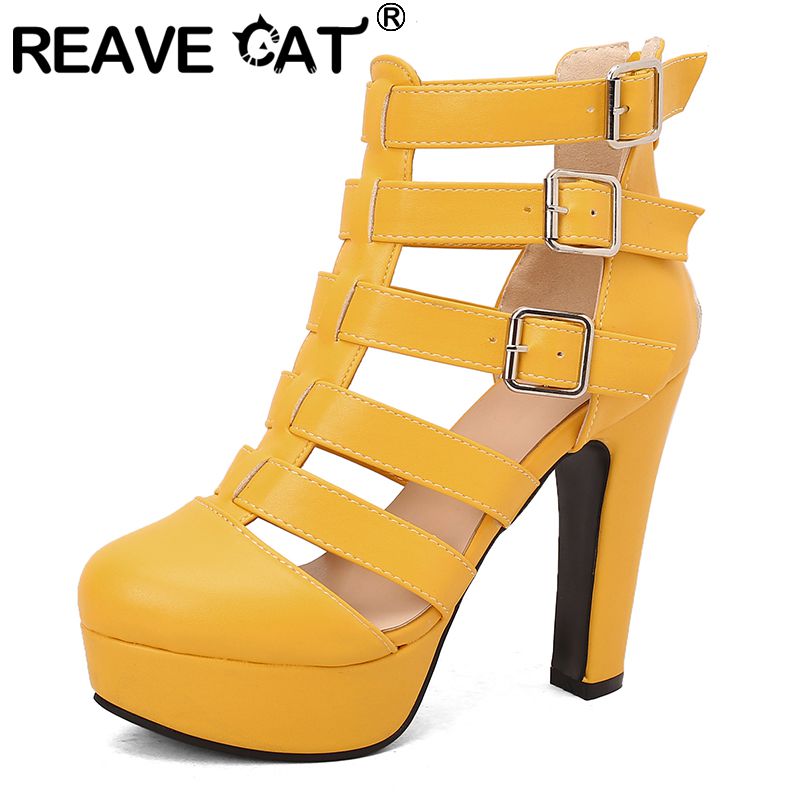 REAVE CAT Luxury Female Sandal - Women'S Fashion Belts recension och pris